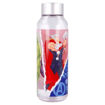 Picture of AVENGERS BOTTLE 660ML